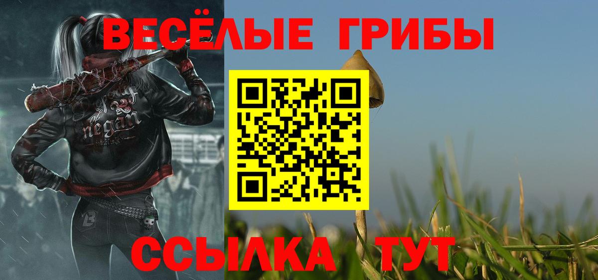 Будённовск  Псилоцибиновые грибы GOLDEN TEACHER  Псилоцибиновые грибы Psilocybine cubensis  Вход с VPN 